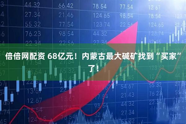 倍倍网配资 68亿元！内蒙古最大碱矿找到“买家”了！