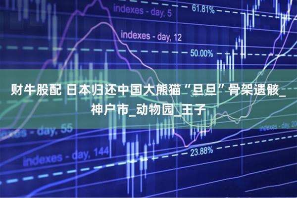 财牛股配 日本归还中国大熊猫“旦旦”骨架遗骸_神户市_动物园_王子